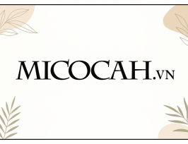 ✨ MICocah VN &ndash; Phong c&aacute;ch thời thượng, ưu đ&atilde;i đỉnh cao, độc quyền chỉ c&oacute; tại Shopee! ✨